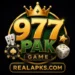 977pak game logo image